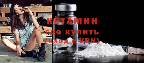 индика Володарск