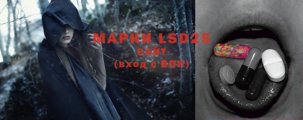 индика Володарск