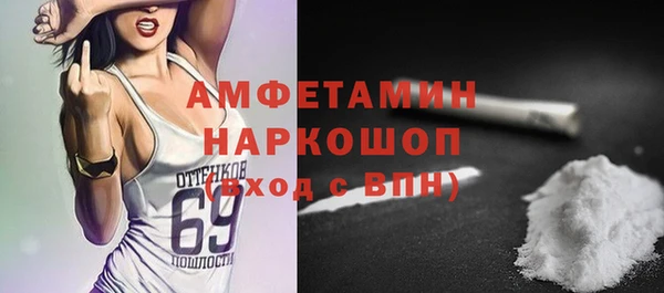 индика Володарск