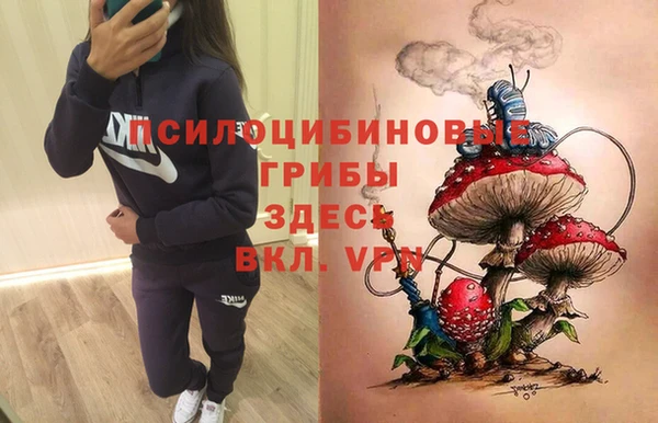 герыч Вязники