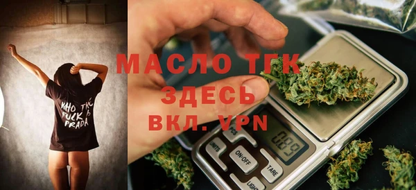 индика Володарск