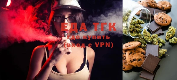 индика Володарск