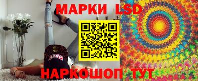 молекула духа Будённовск
