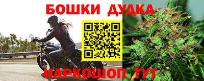 молекула духа Будённовск