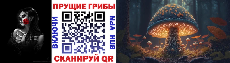 Псилоцибиновые грибы мицелий Дедовск