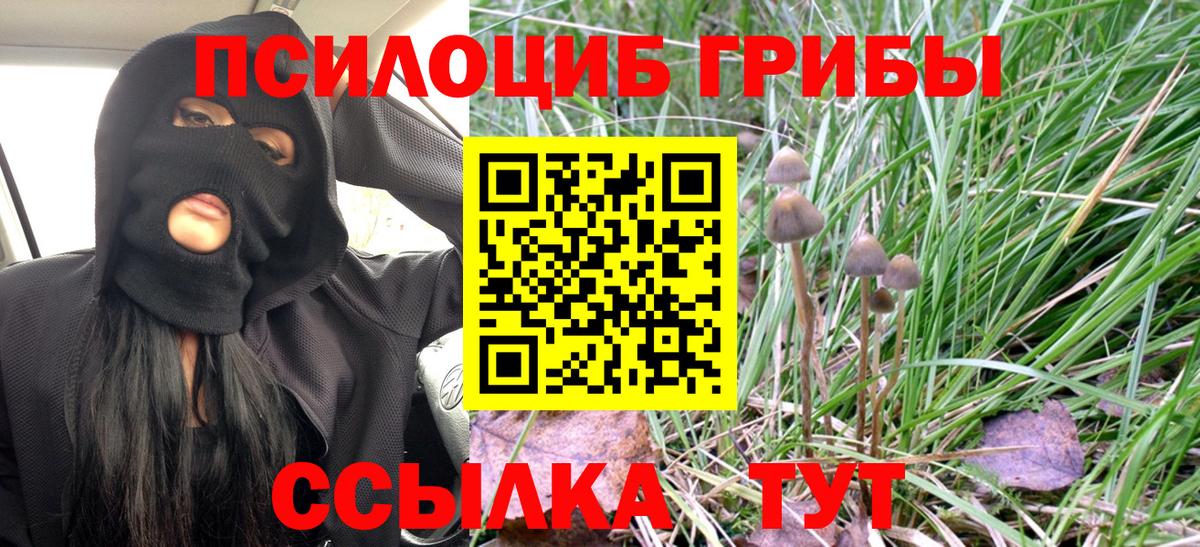 Псилоцибиновые грибы прущие грибы Дедовск